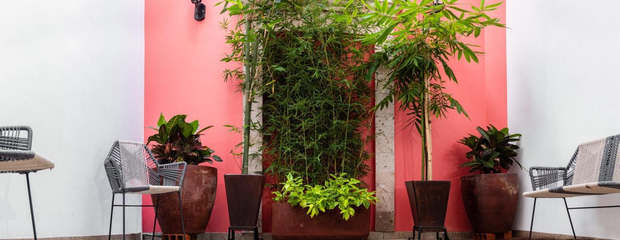 Nueve Agaves Hotel Tequila Kültér fotó
